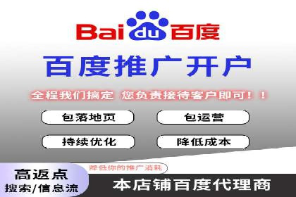 百度广告推广的投放策略与市场分析